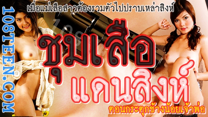 ชุมเสือแดนสิงห์